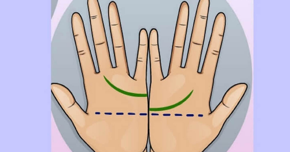 отношения людей в виде линий. линии. общие друзья расположи ребят на схеме.