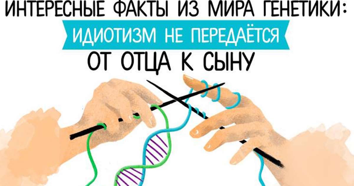 От кого передается интеллект ребенку генетически схема